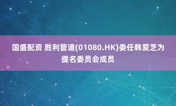 国盛配资 胜利管道(01080.HK)委任韩爱芝为提名委员会成员