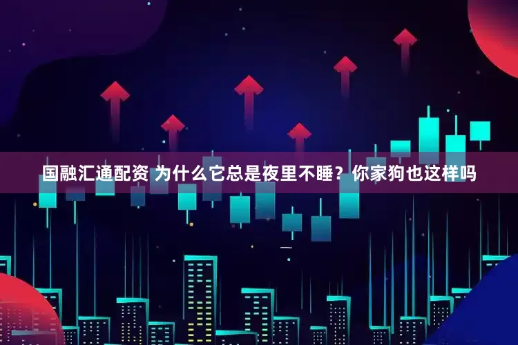 国融汇通配资 为什么它总是夜里不睡？你家狗也这样吗